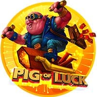 Pig Of Luck